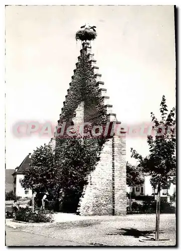 Moderne Karte L'Alsace et ses Cigognes Le Nid de Ostheim Haut Rhin Parade d'Amour