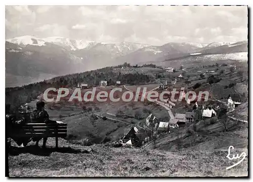 Cartes postales moderne Hohrodberg Haut Rhin Vue generale