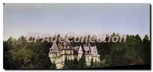 Cartes postales Les Halles Rhone Le Chateau dans la Foret