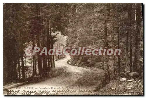 Cartes postales Chenelette Sous bois Route de St Rigaud