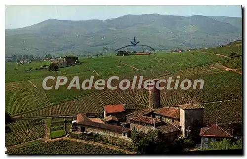 Cartes postales moderne Domaines des Tours Saint Etienne la Varenne