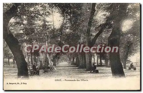 Cartes postales Gray Promenade des Tilleuls