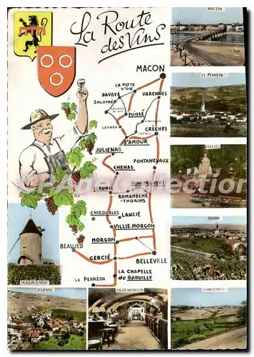 Cartes postales moderne La Route des Vins Macon