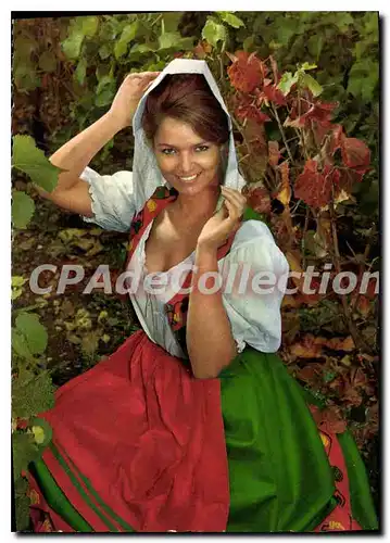 Cartes postales moderne Collection Bourguignonne Maconnaise et Beaujolaise Vendangeuse a la Coiffe