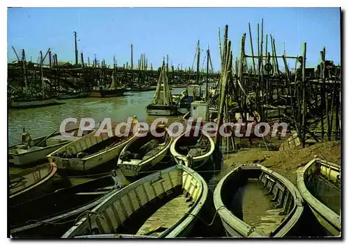 Cartes postales moderne LA VENDEE TOURISTIQUE Pres de Beauvoir sur Mer  Port de l'Epoids