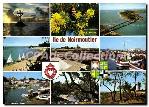 Cartes postales moderne Ile de Noirmoutier multivues petite marchande de mimosas