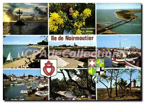 Moderne Karte Ile de Noirmoutier multivues petite marchande de mimosas