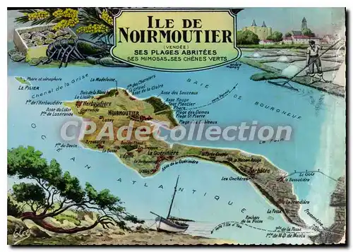 Cartes postales moderne Ile de Noirmoutier ses plages abrit�es carte