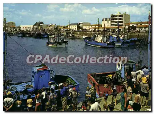 Cartes postales moderne SAINT GILLES CROIX DE VIE Arrivee des bateaux de peche