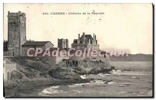 Cartes postales CANNES Chateau de la Napoule