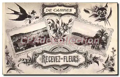 Cartes postales DE CANNES Recevez ces FLEURS