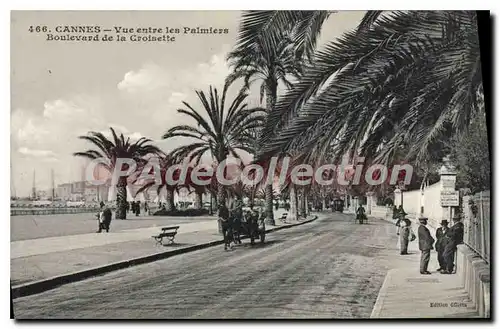 Ansichtskarte AK CANNES Vue entre les Palmiers Boulevard de la Croisette