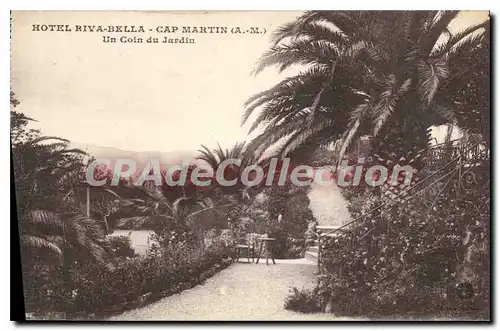 Cartes postales HOTEL RIVA BELLA CAP MARTIN Un Coin du Jardin