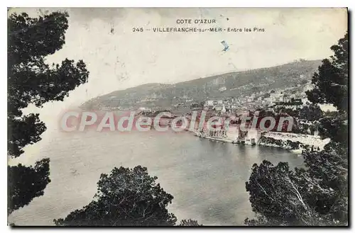 Cartes postales COTE D�AZUR VILLEFRANCHE sur MER Entre les Pins