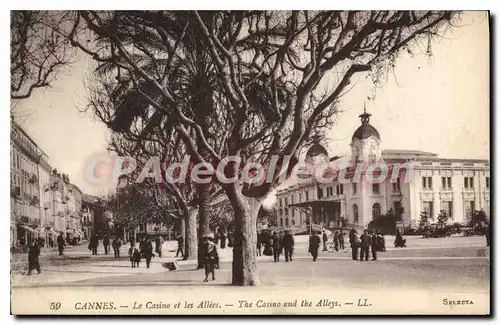 Ansichtskarte AK CANNES Le Casino et les Allees