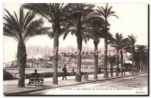 Cartes postales CANNES les palmiers de la croisette et le mont chevalier