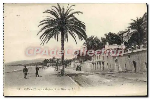 Ansichtskarte AK CANNES Le Boulevard du Midi