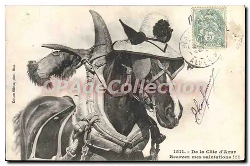 Cartes postales De la cote d�azur recevez mes salutations cheval