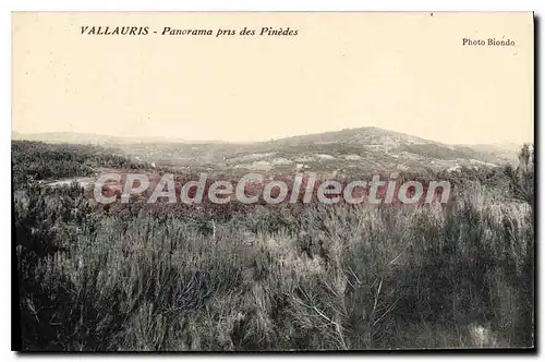 Cartes postales VALLAURIS panorama pris des pinedes