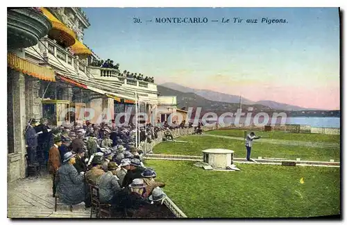 Cartes postales MONTE CARLO le tir aux pigeons