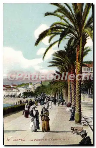 Cartes postales Cannes les Palmiers de la Croisette