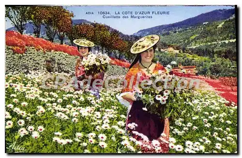 Cartes postales La Cote d'Azur Fleurie Cueillette des Marguerites