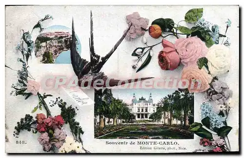 Cartes postales Souvenir de Monte Carlo