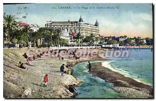 Cartes postales Cannes la plage et le Carlton hotel