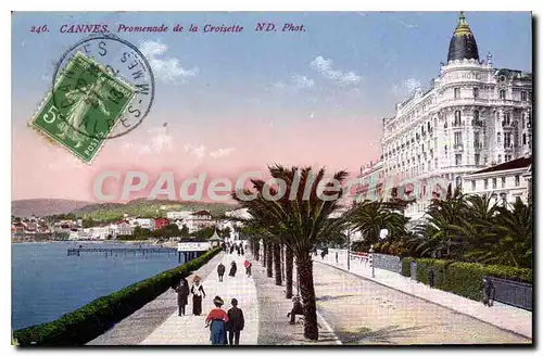 Cartes postales Cannes Promenade de la Croisette