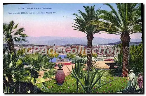 Cartes postales Cannes la Croisette les grands hotels vue des jardins Albert I