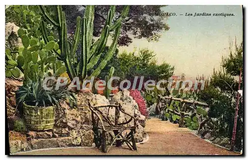 Cartes postales Monaco les Jardins exotiques