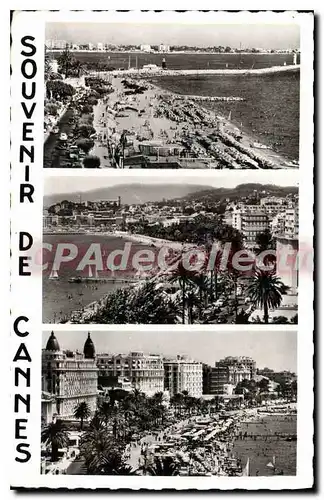 Cartes postales Souvenir de Cannes