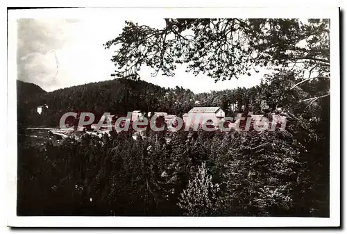 Cartes postales Peira Cava sejour ideal dans la verdure Cure d'air