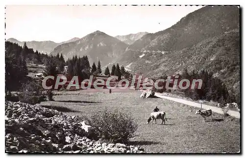 Cartes postales la Suisse Nicoise St Martin Vesubie La Route du Boreon