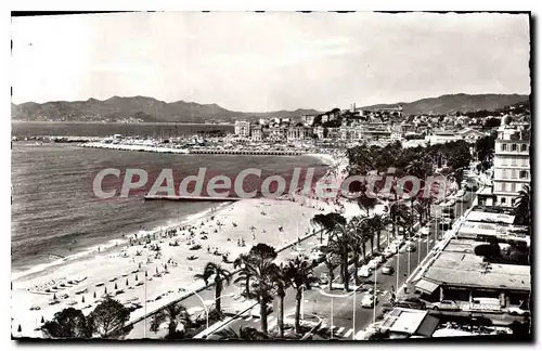 Ansichtskarte AK Cannes A l'extremite de la Croisette les Jardin du Casino le port et le Suquet