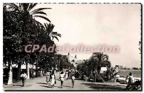 Cartes postales Cannes Promenade de la Croisette