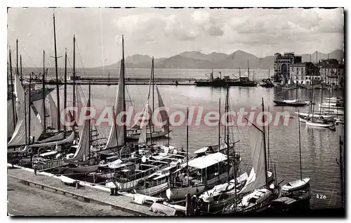 Cartes postales Cote d'Azur Cannes Le Port l'Esterel