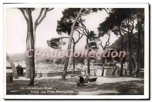 Cartes postales Juan les Pins Sous les Pins Maritimes