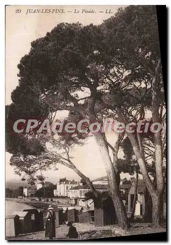 Cartes postales Juan les Pins La Pinede