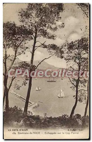 Cartes postales La Cote d'Azur Environs de Nice Echappee sur le Cap Ferrat