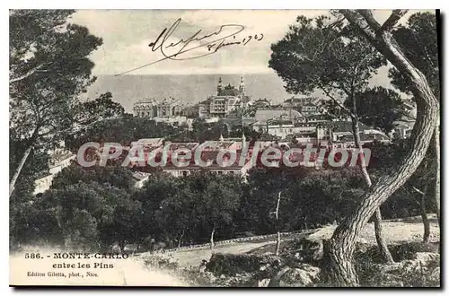 Ansichtskarte AK Monte Carlo entre les Pins