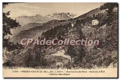 Ansichtskarte AK Peira Cava A M environs de Nice Saison d'Ete Chaine des Alpes