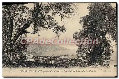 Cartes postales Beaulieu sur Mer Alpes Maritimes Vue generale prise entre les Oliviers