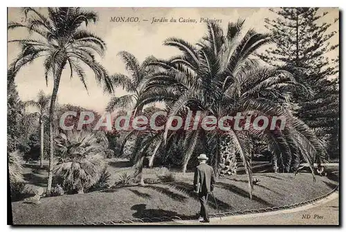 Cartes postales Monaco Jardin du Casino Palmiers