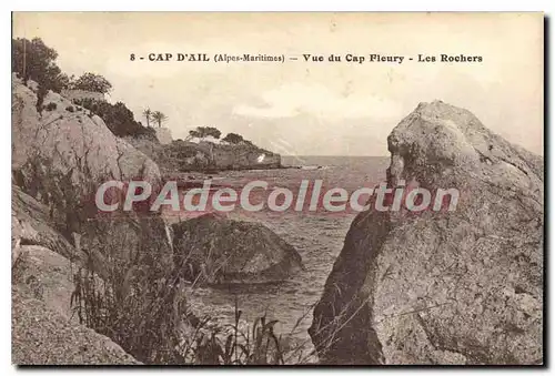 Cartes postales Cap d'Ail Alpes Maritimes Vue du Cap Fleury Les Rochers