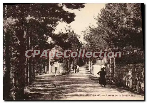 Cartes postales Thorenc Avenue de la Foret