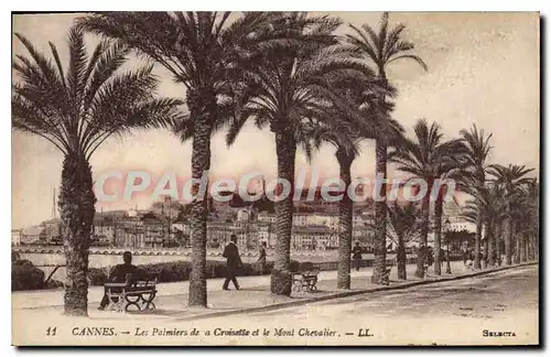 Cartes postales Cannes Les Palmiers de a Croisette et le Mont Chevalier