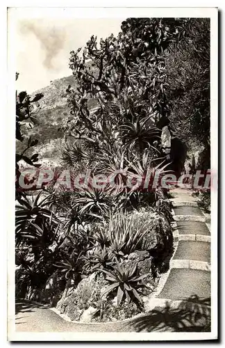 Cartes postales Jardin Exotique de Monaco