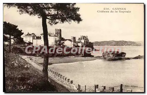 Cartes postales Cannes Chateau de la Napoule