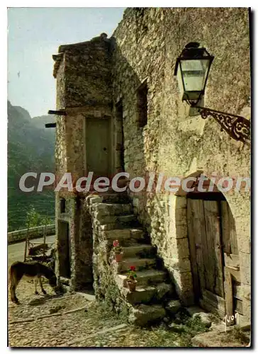 Cartes postales moderne Couleurs et Lumiere de France Sainte Agnes Alpes Maritimes Vieille rue